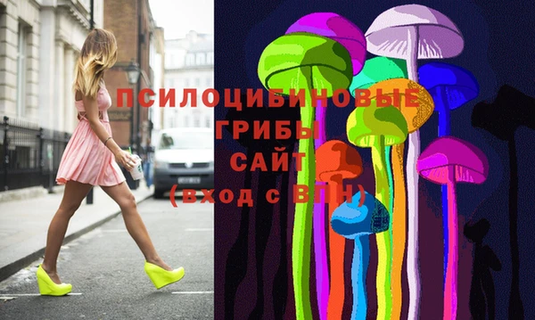 прущая мука Абаза