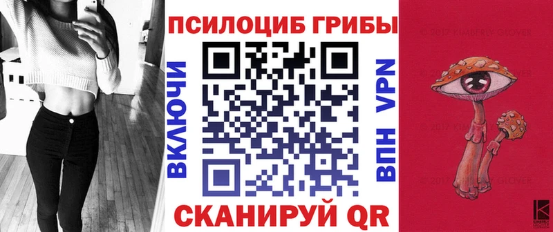 купить наркотики цена  Алзамай  MEGA ССЫЛКА  Псилоцибиновые грибы Cubensis 