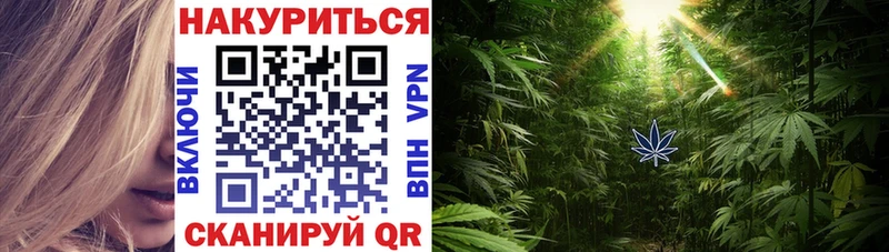 darknet формула  Алзамай  Шишки марихуана SATIVA & INDICA  mega ссылки 